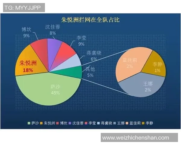 西安排球队的战术调整与比赛控制能力分析 西安排球队的战术调整与比赛控制能力分析