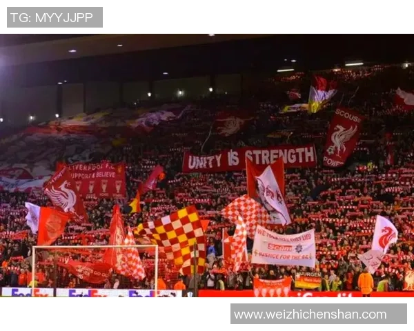 足球明星与黑上海球员的传奇故事与辉煌成就探讨 足球明星与黑上海球员的传奇故事与辉煌成就探讨