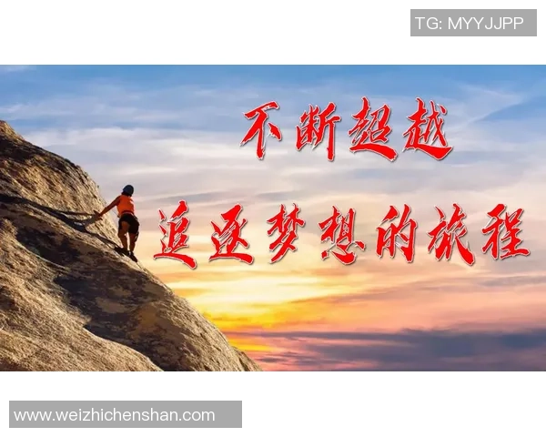 飞盘之路上的追梦旅程：与陈娜的深度对话与分享