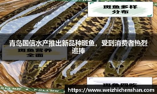 青岛国信水产推出新品种斑鱼，受到消费者热烈追捧