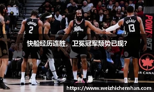 v站体育