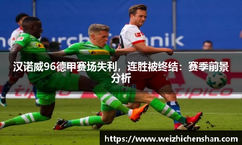 汉诺威96德甲赛场失利，连胜被终结：赛季前景分析