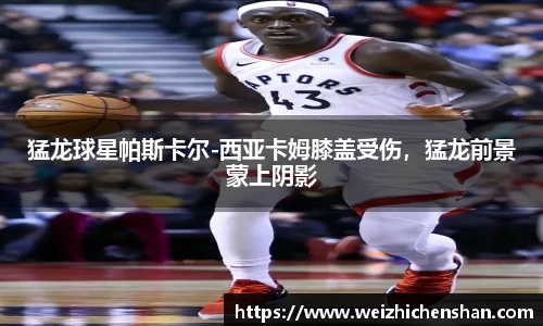 猛龙球星帕斯卡尔-西亚卡姆膝盖受伤，猛龙前景蒙上阴影