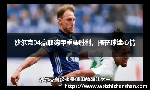 沙尔克04豪取德甲重要胜利，振奋球迷心情