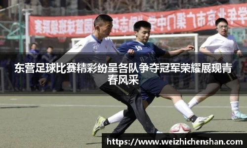 v体育官网新闻