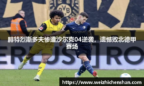 腓特烈斯多夫惨遭沙尔克04逆袭，遗憾败北德甲赛场