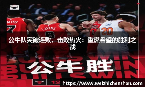 v站体育