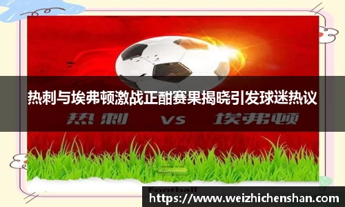 热刺与埃弗顿激战正酣赛果揭晓引发球迷热议