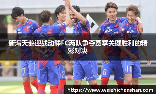新泻天鹅迎战动静FC两队争夺赛季关键胜利的精彩对决