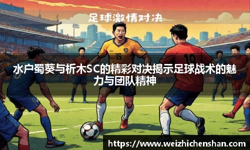 水户蜀葵与析木SC的精彩对决揭示足球战术的魅力与团队精神