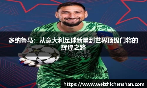 v体育官网新闻