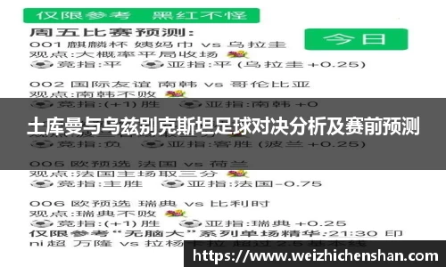 v站体育