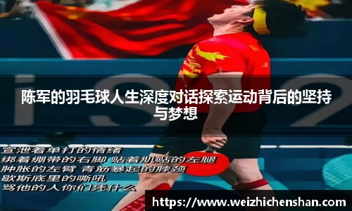 vsport体育